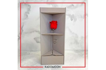 هدیه روز سینما + بهترین ایده های برای عاشقان سینما