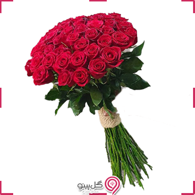 دسته گل رز روشنک